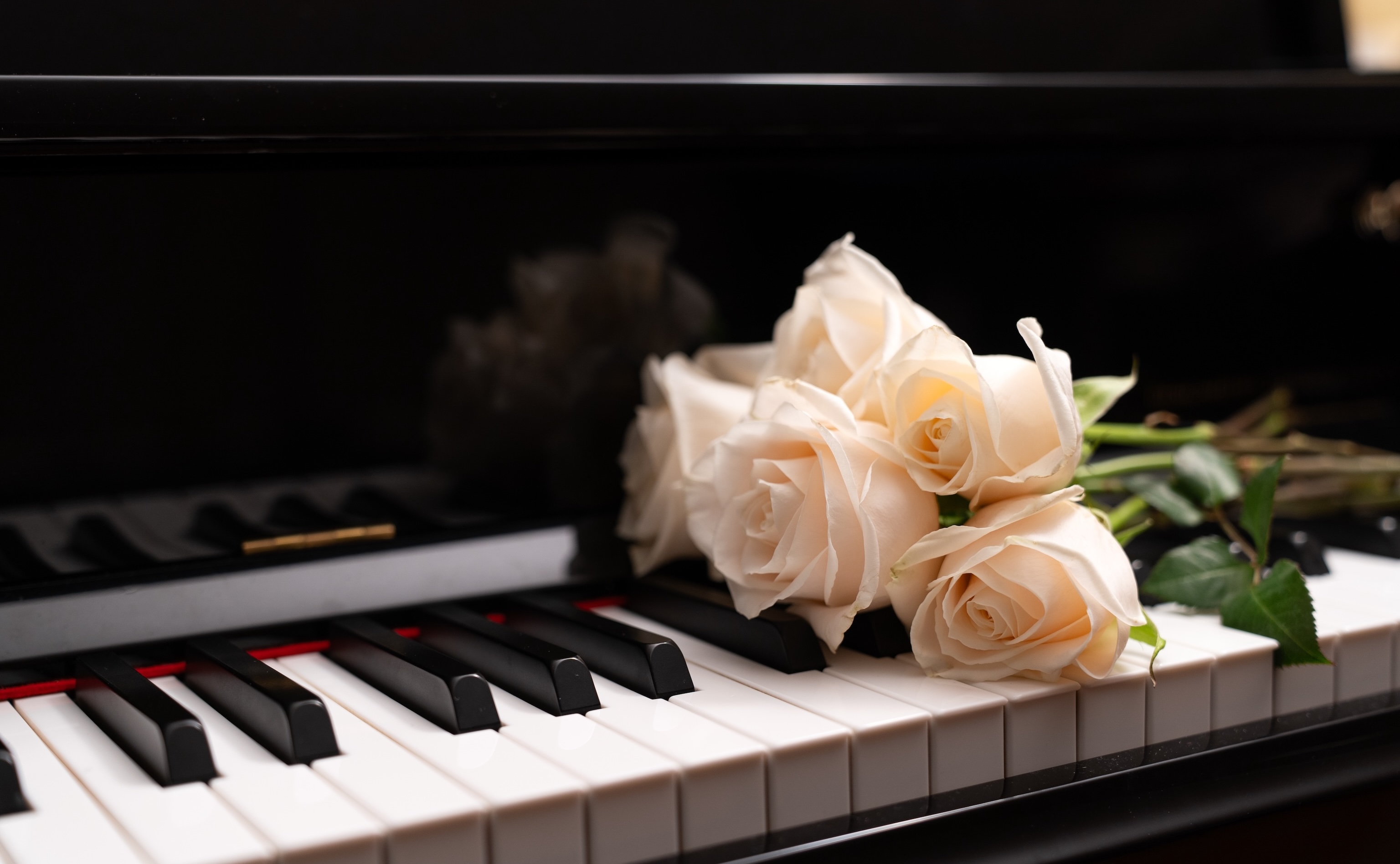 Musique et chansons pour un enterrement : tendances, droits et choix