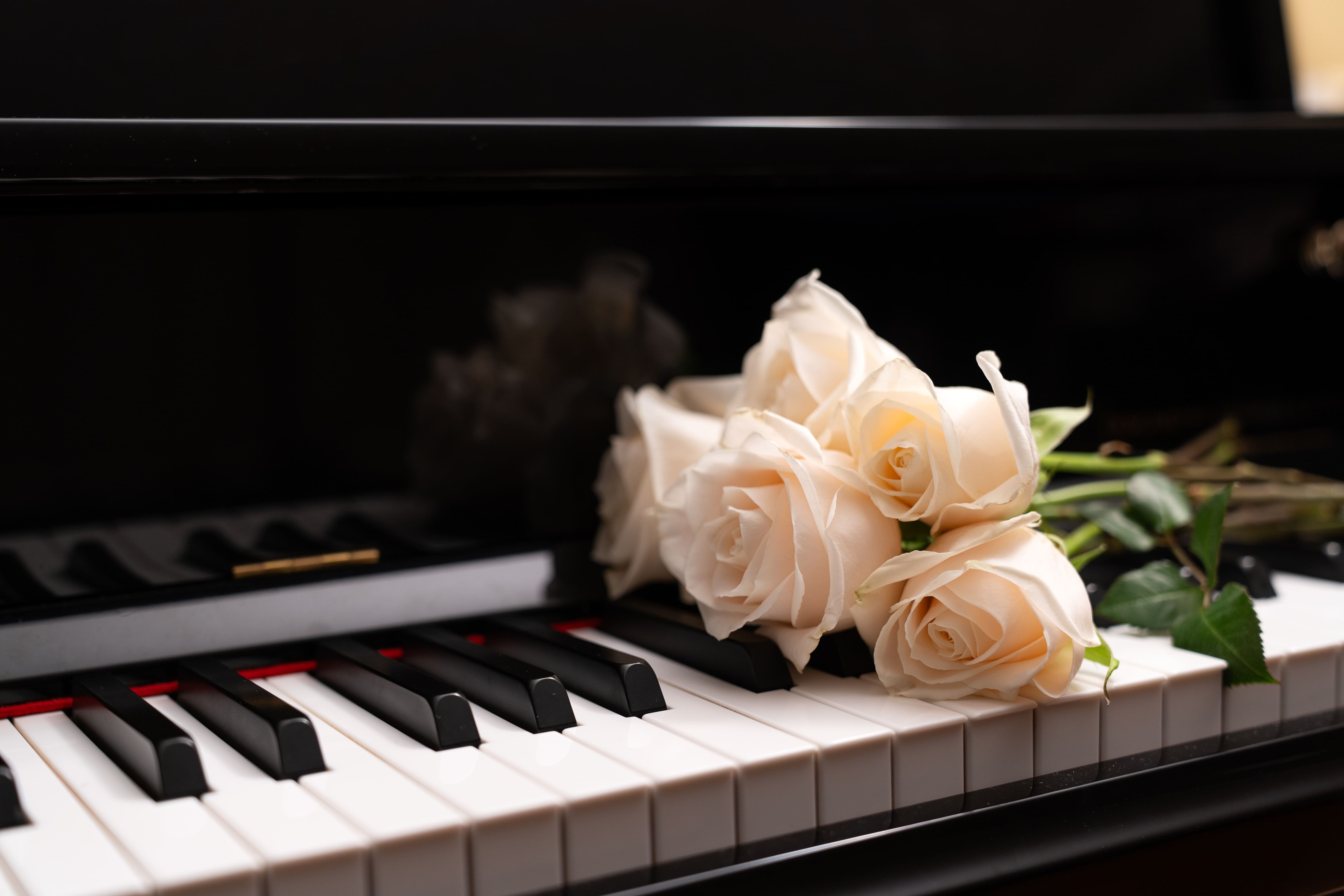 Musique et chansons pour un enterrement : tendances, droits et choix